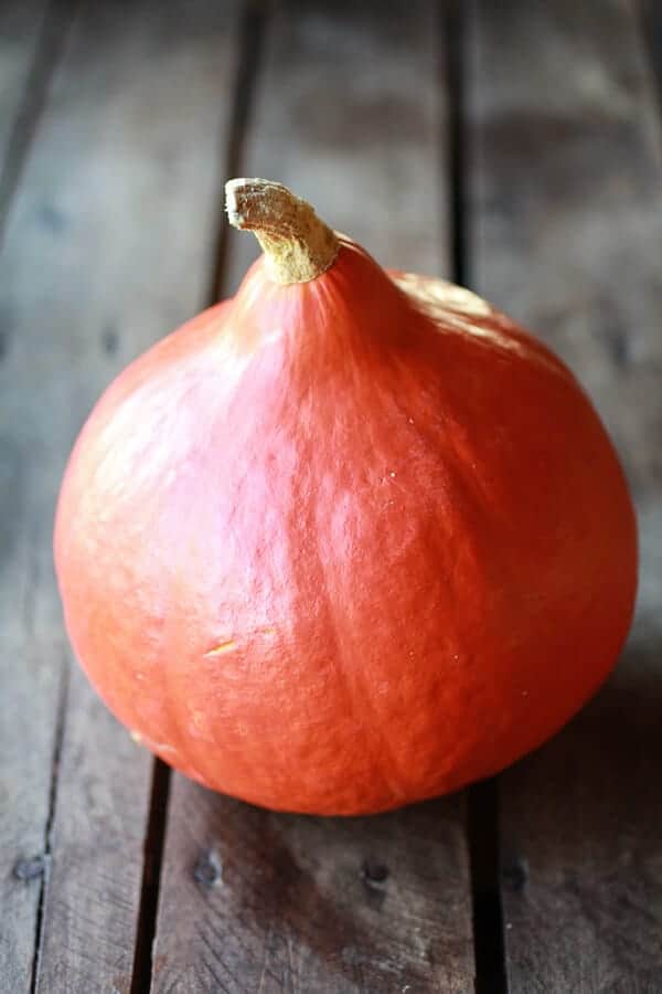 Chocolate Lovers Pumpkin Fudge Brownie Pancakes with Chocolate Kahlua Sauce | halfbakedharvest.com 