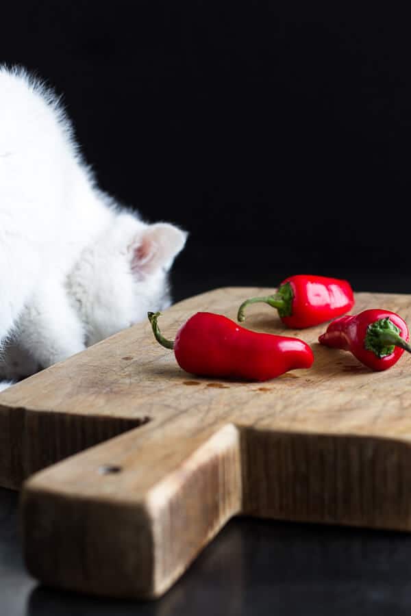 Chilli Cashew Shrimp Noodles | halfbakedharvest.com
