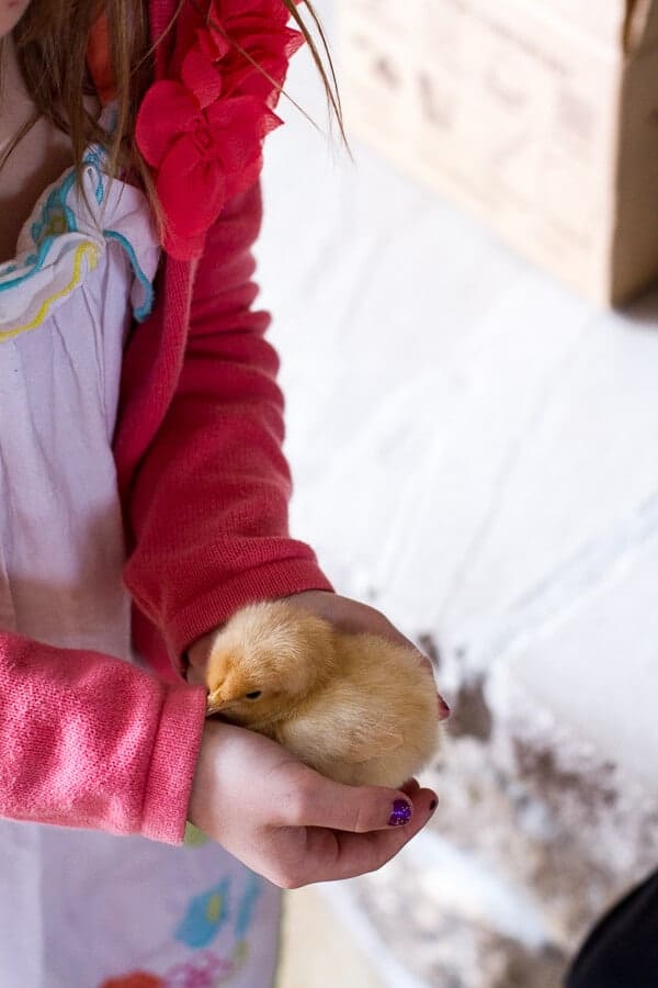 Chaos 'n' Sprinkles | halfbakedharvest.com