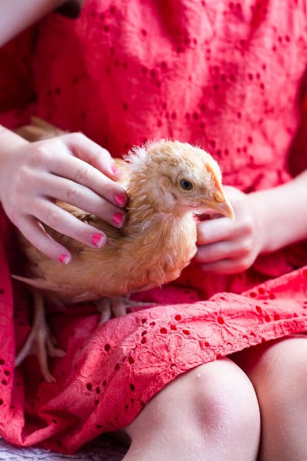 Chaos 'n' Sprinkles | halfbakedharvest.com