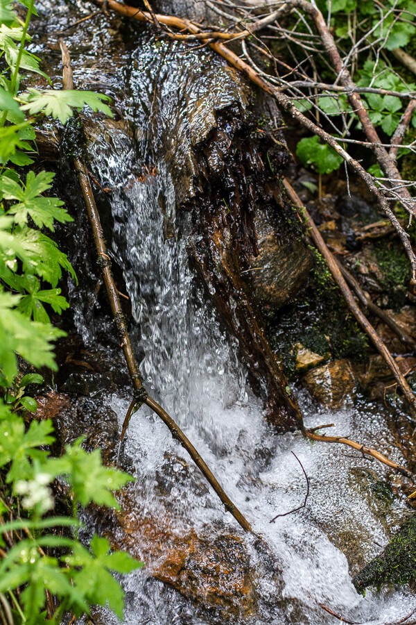 Let's Go on Mid Summer Hike Together | halfbakedharvest.com