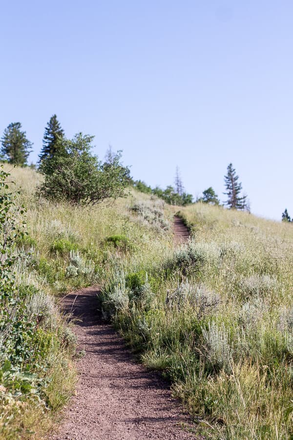 Let's Go on Mid Summer Hike Together | halfbakedharvest.com