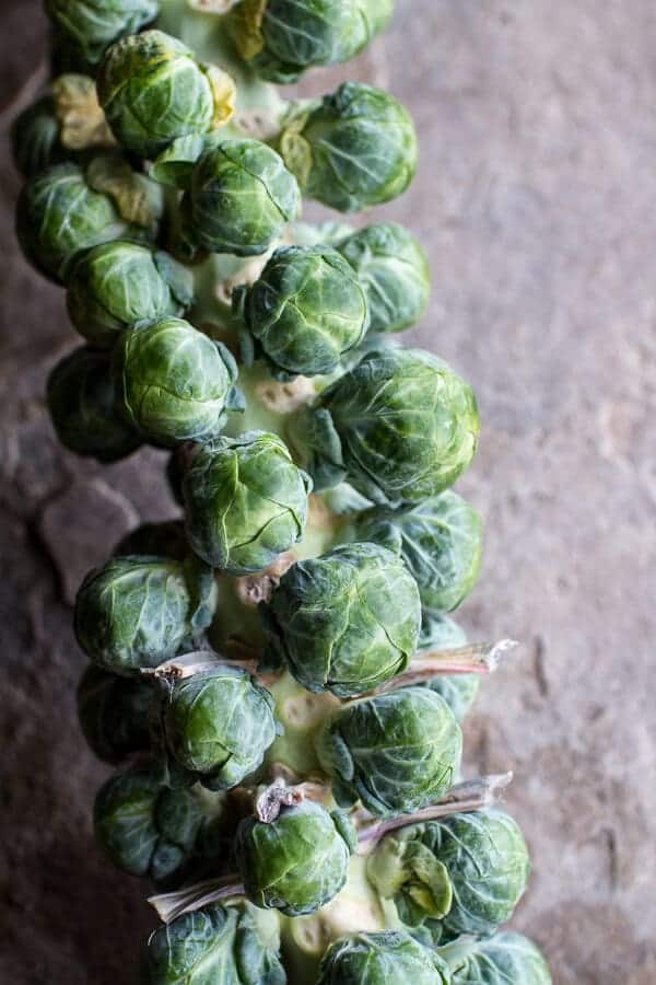Cheesy Fried Polenta w-Pan Roasted Balsamic Brussels Sprouts + Roasted Garlic Sage Oil | halfbakedharvest.com @hbharvest