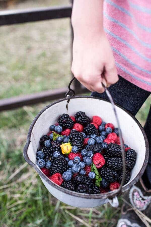 Very Berry Dream Salad with Chili Mango and Peanut Vinaigrette | halfbakedharvest.com @hbharvest