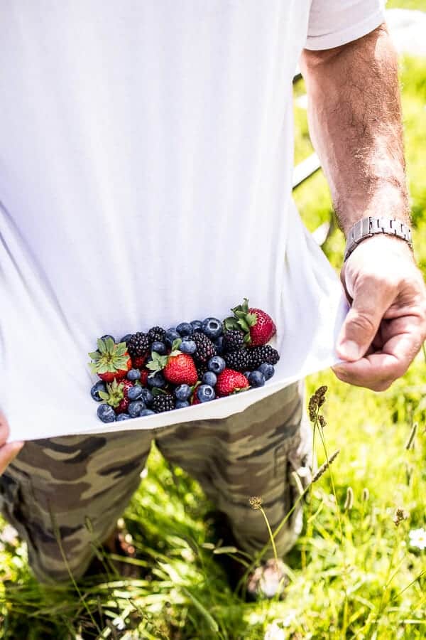 Baked Mixed Berry Coconut Cornbread Muffins | halfbakedharvest.com @hbharvest