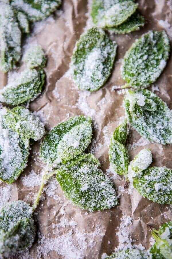 Pomegranate and Peppermint Moscow Mules (VIDEO) | halfbakedharvest.com @hbharvest