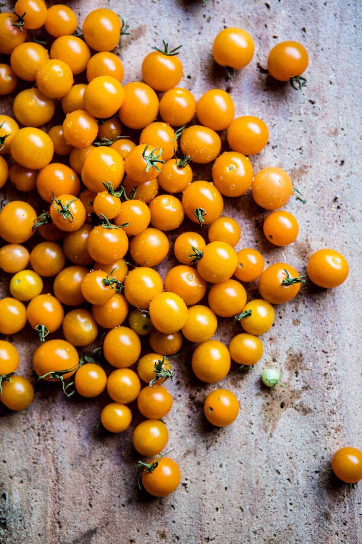 Salmon Souvlaki Bowls | halfbakedharvest.com @hbharvest