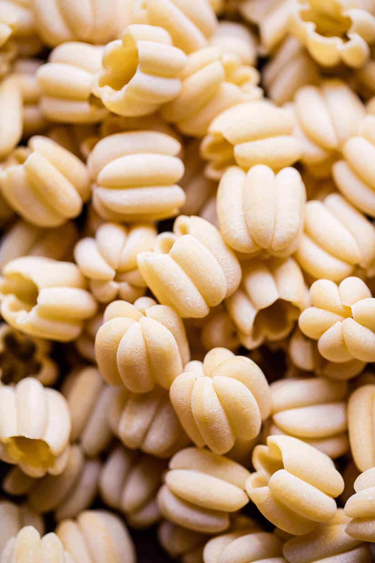 Italian Pumpkin and Kale Chicken Noodle Soup with Fontina Toast | halfbakedharvest.com @hbharvest