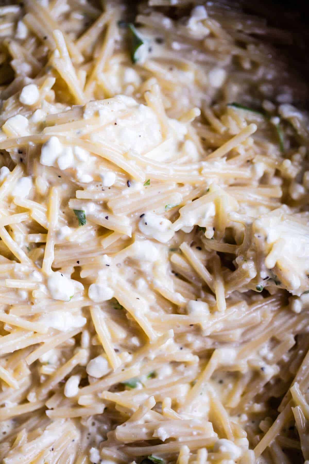 Million-Dollar Spaghetti | halfbakedharvest.com @hbharvest