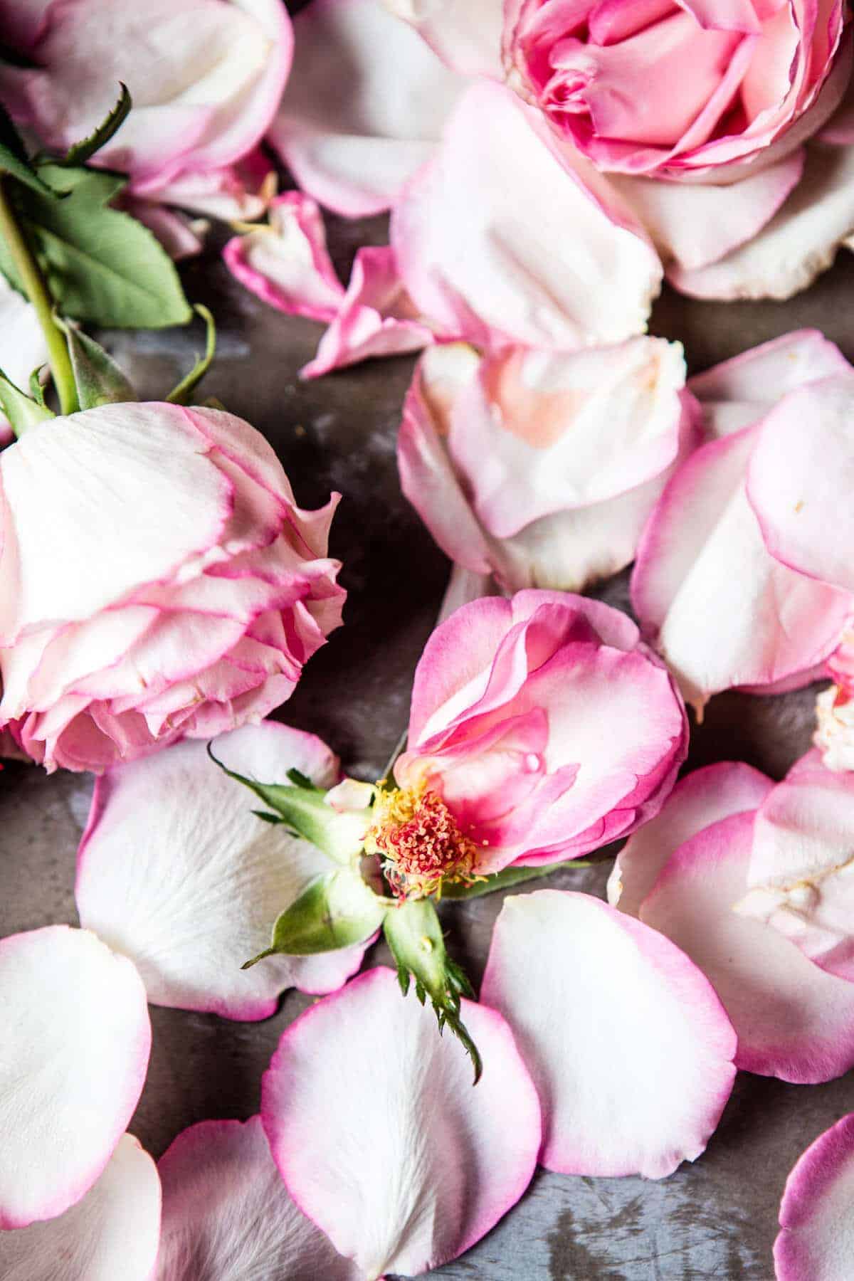 Raspberry Rose Tequila Kombucha | halfbakedharvest.com @hbharvest