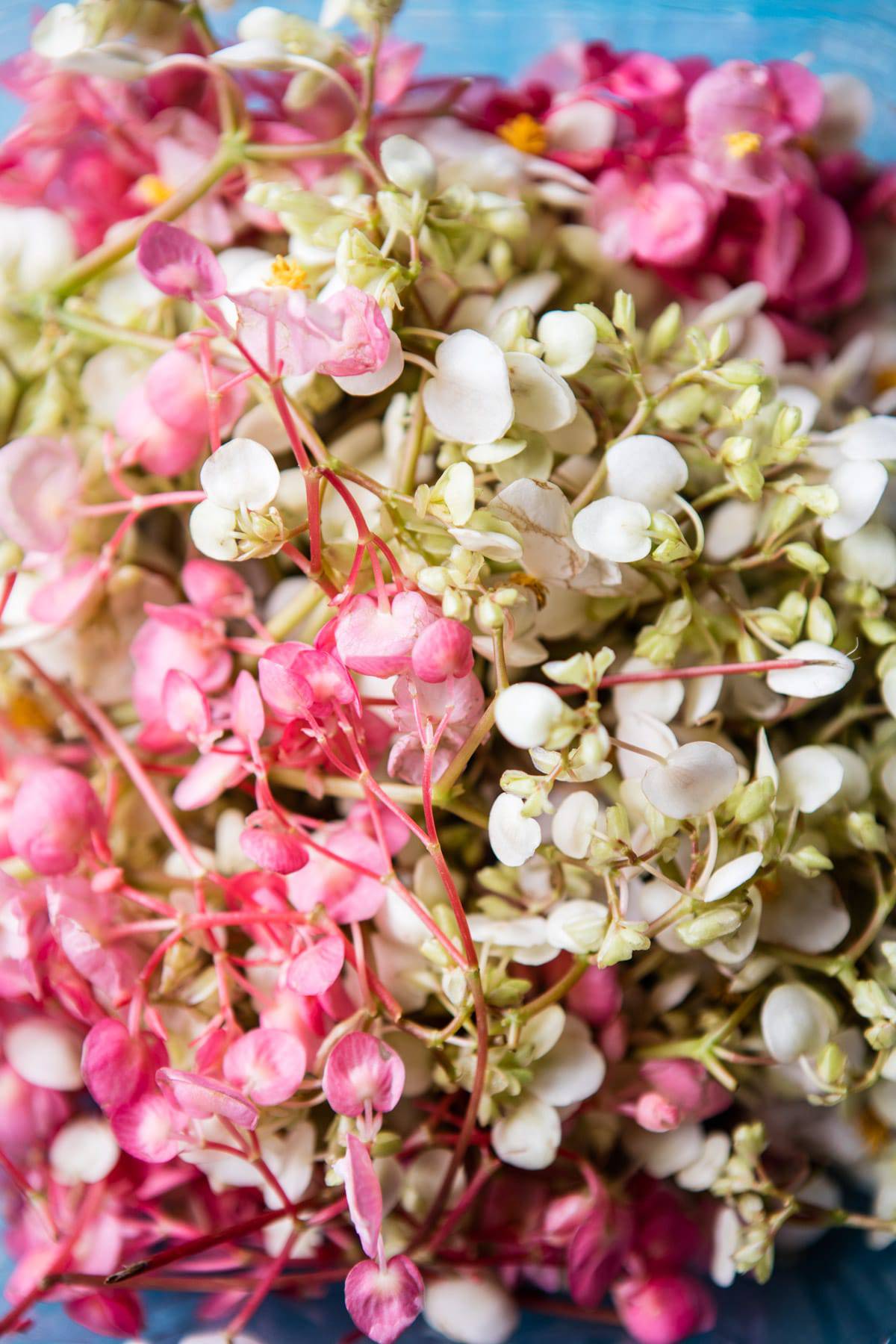 Easy Lemon Ricotta Old Fashioned Doughnuts | halfbakedharvest.com @hbharvest