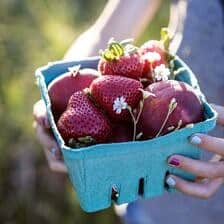 Nine Favorite Things 9 | halfbakedharvest.com @hbharvest