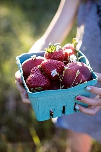 Nine Favorite Things 9 | halfbakedharvest.com @hbharvest