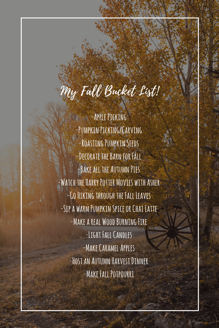 My Fall Bucket List | halfbakedharvest.com @hbharvest