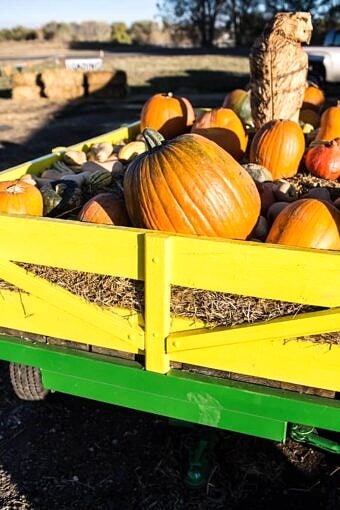 Nine Favorite Things | halfbakedharvest.com @hbharvest