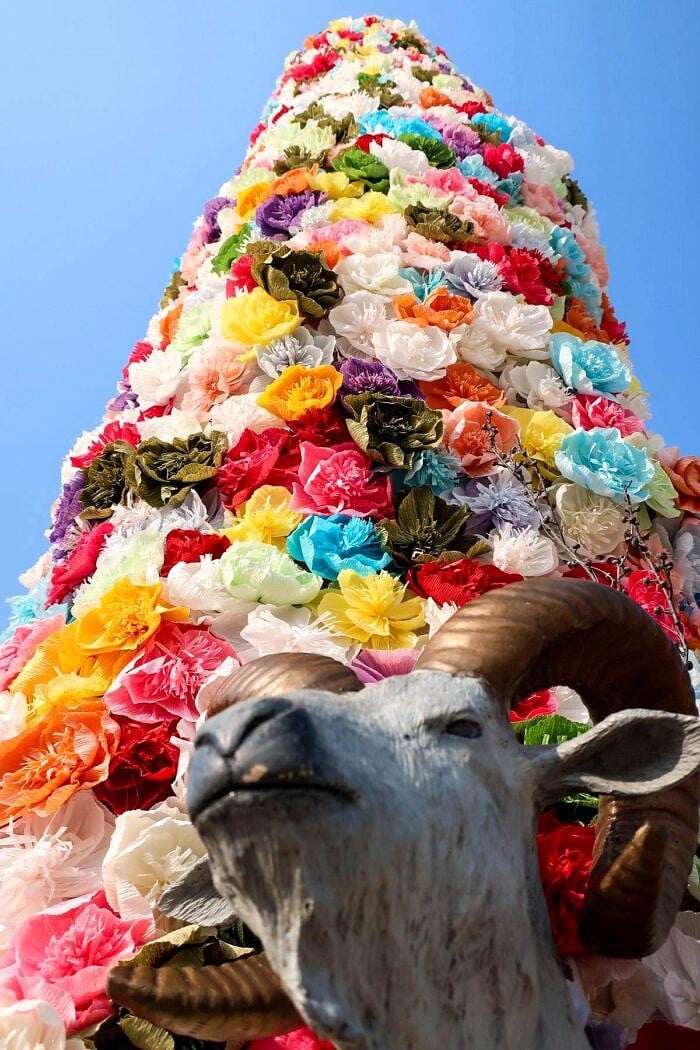 South Korea Part Two: Going for Gold | halfbakedharvest.com