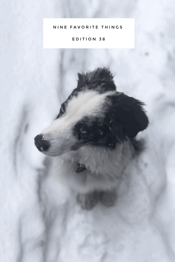 Nine Favorite Things | halfbakedharvest.com @hbharvest