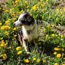 Nine Favorite Things | halfbakedharvest.com