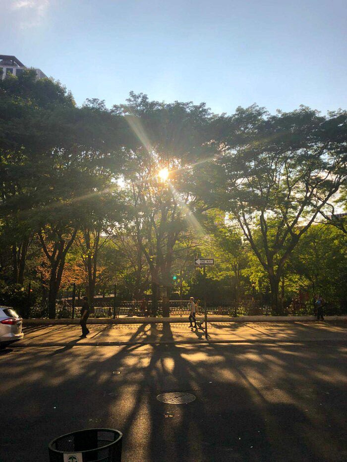 Nine Favorite Things | halfbakedharvest.com