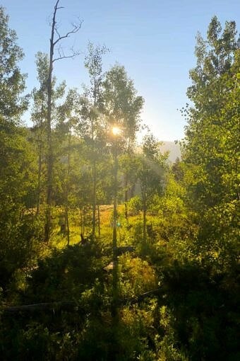 Nine Favorite Things | halfbakedharvest.com