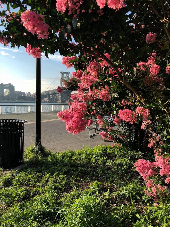 Nine Favorite Things | halfbakedharvest.com