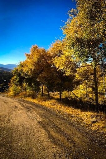 Nine Favorite Things | halfbakedharvest.com