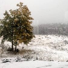 Nine Favorite Things | halfbakedharvest.com