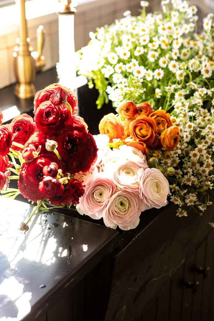 ranunculus in sink