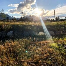 Nine Favorite Things | halfbakedharvest.com