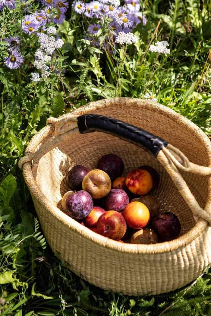 plums in basket