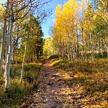 Nine Favorite Things | halfbakedharvest.com