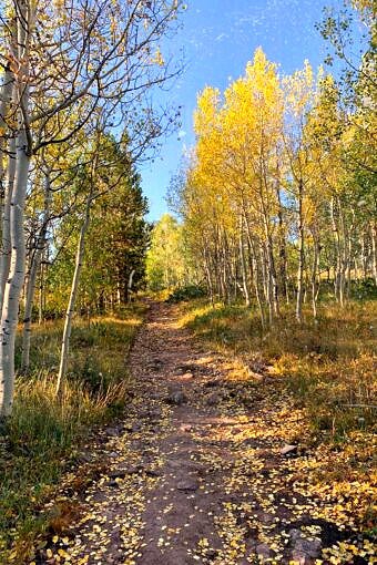 Nine Favorite Things | halfbakedharvest.com