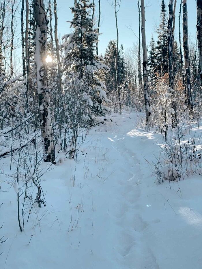 Nine Favorite Things | halfbakedharvest.com 