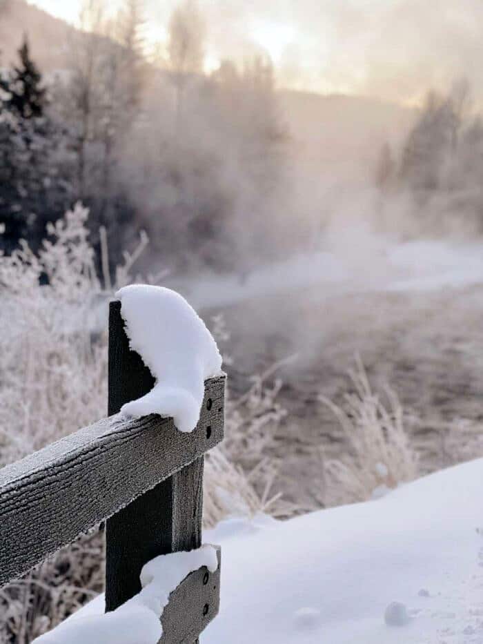 Nine Favorite Things | halfbakedharvest.com