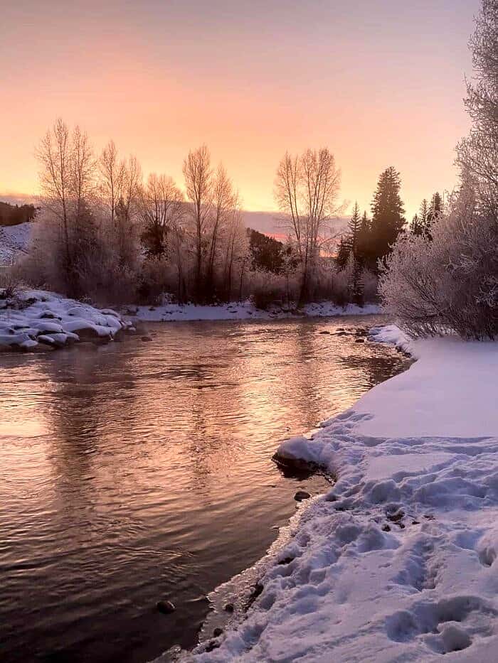 Nine Favorite Things | halfbakedharvest.com