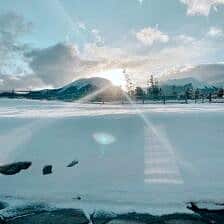 Nine Favorite Things | halfbakedharvest.com