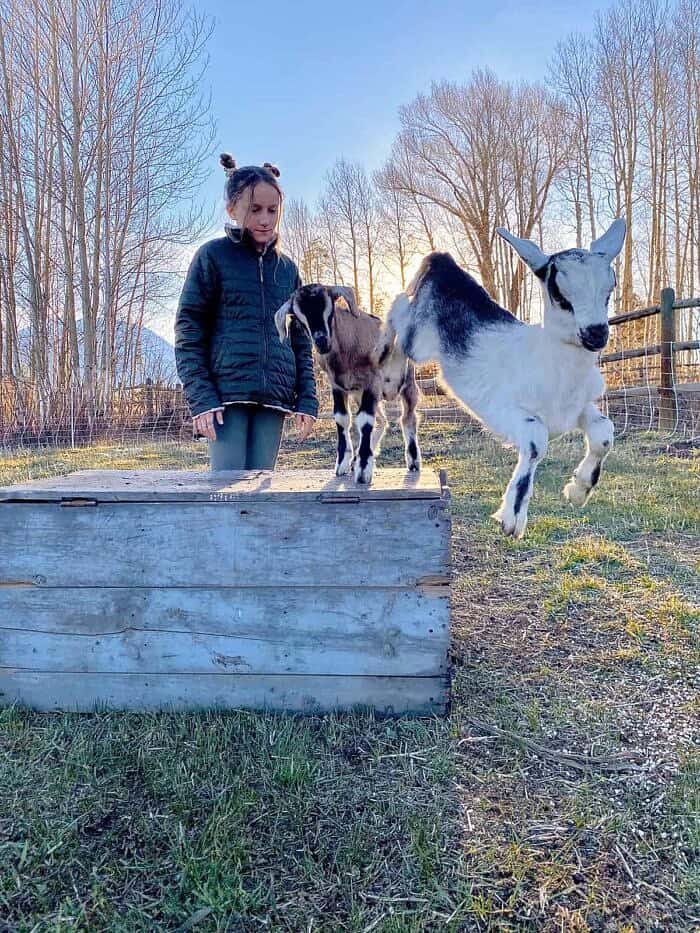 Nine Favorite Things | halfbakedharvest.com