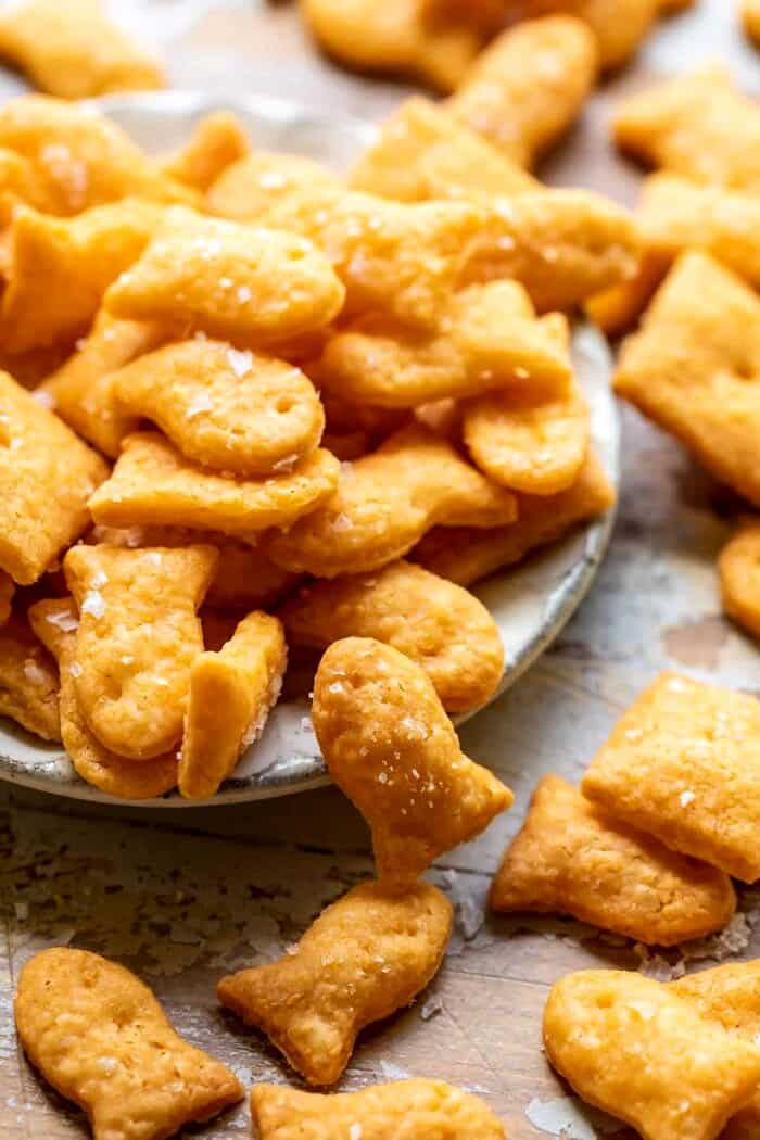 side angled photo of Homemade Goldfish 