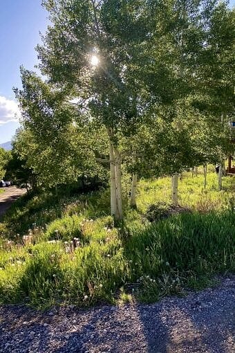 Nine Favorite Things | halfbakedharvest.com