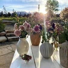 Nine Favorite Things | halfbakedharvest.com