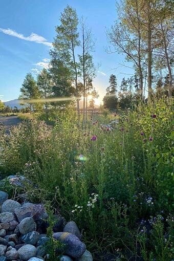 Nine Favorite Things | halfbakedharvest.com