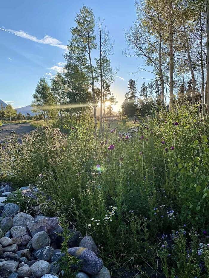 Nine Favorite Things | halfbakedharvest.com