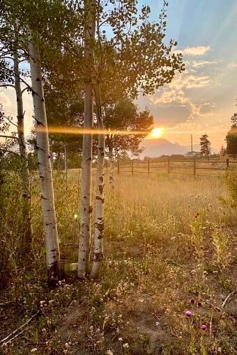 Nine Favorite Things | halfbakedharvest.com