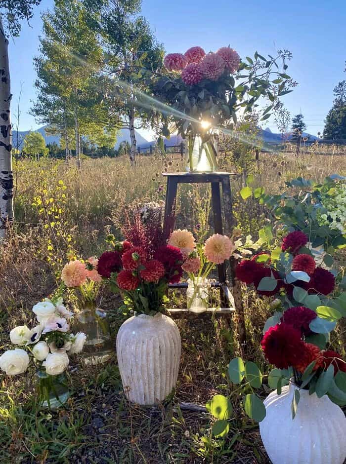 Nine Favorite Things | halfbakedharvest.com