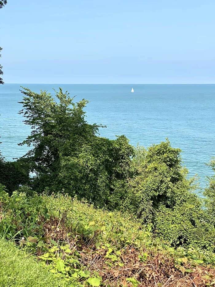 Nine Favorite Things | halfbakedharvest.com