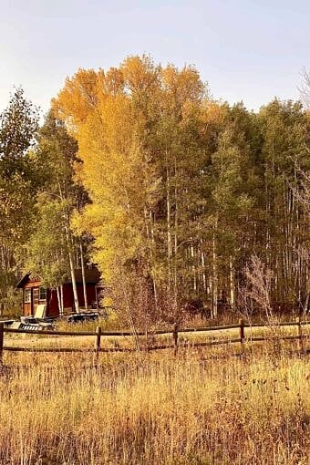 Nine Favorite Things | halfbakedharvest.com