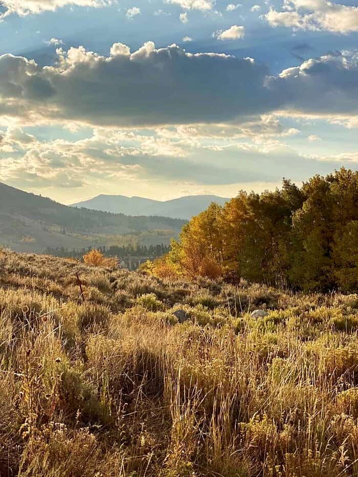 Nine Favorite Things | halfbakedharvest.com