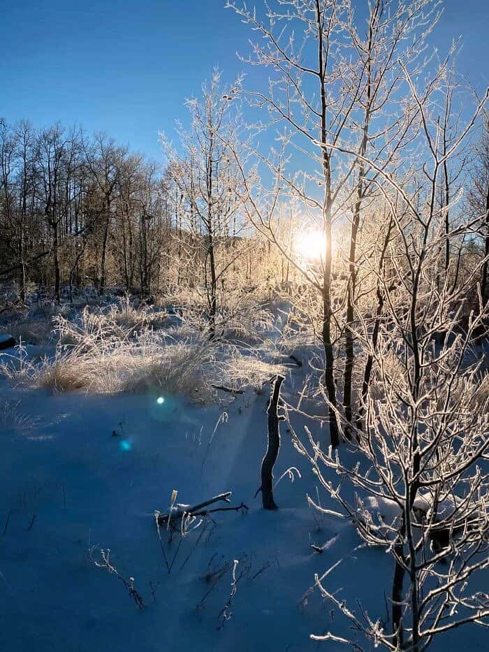 Nine Favorite Things | halfbakedharvest.com