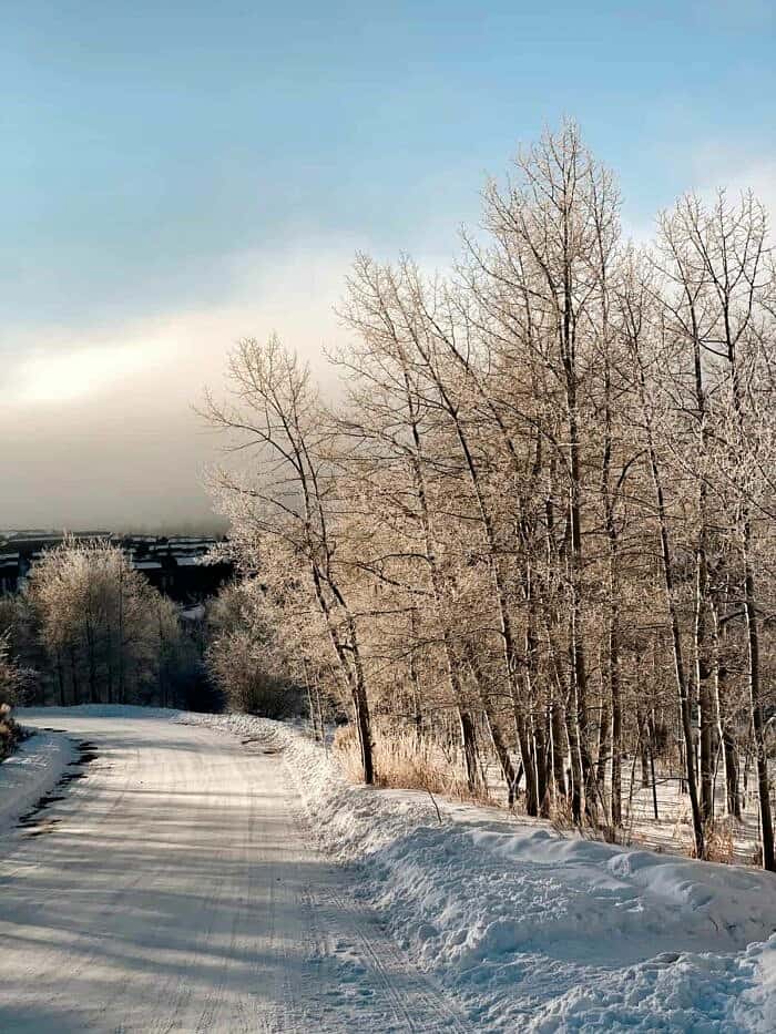 Nine Favorite Things | halfbakedharvest.com