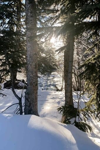 Nine Favorite Things | halfbakedharvest.com